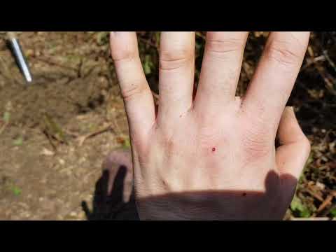 UKFN 2019 - Site Prep Team, Day 1