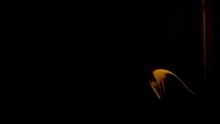 GOING OUT OF MY HEAD