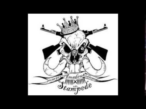 Medicine - Me Vs. Me - Amadeus The Stampede