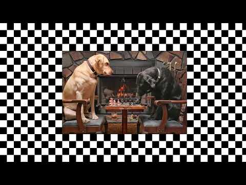 BardLew x matifour x tvrnvs x Love Sounds - KARAWANA JEDZIE DALEJ (ale na bicie sexmasti) [ZTR #8½]