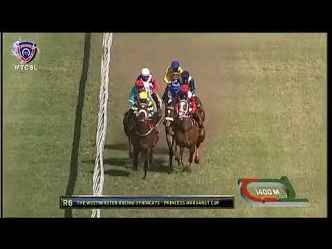 2021.09.26 Princess Margaret Cup (MRI) - Frosted Gold