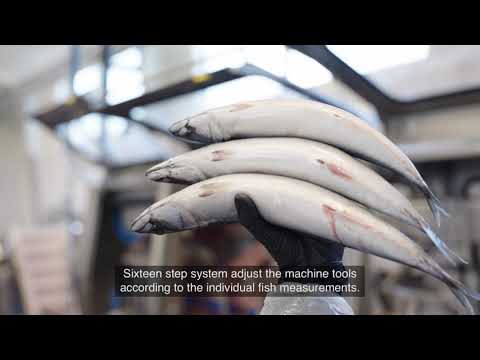 Kroma A/S GUTMASTER 1200 with UK subtitles.