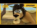 LEON Hide And Seek