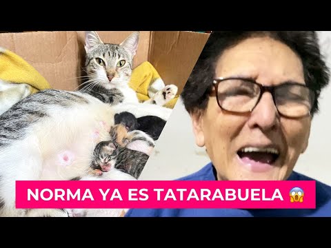 GRANDMA NORMA IS NOW A GREAT-GREAT-GRANDMOTHER! - EXTREME RESCUERS