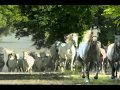 Bond - Quixote 