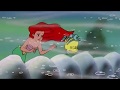 A Whale Of A Sneeze