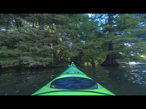 Szarvas a Holt-Körösről (fahíd, víziszínház, mocsári ciprus)