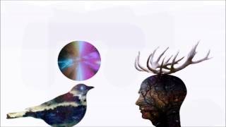 Empathy Test -  Losing Touch