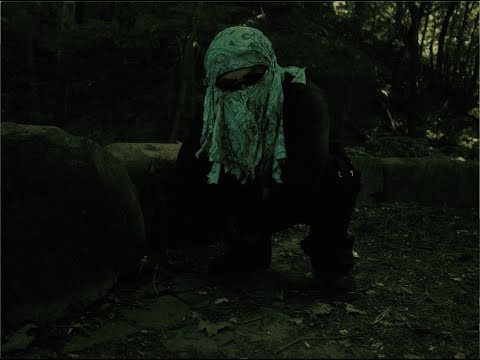 TWORAW - Havin It (Official Music Video)