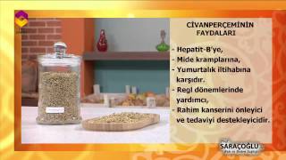Tıbbi Bitkiler (Civanperçemi) - TRT DİYANET