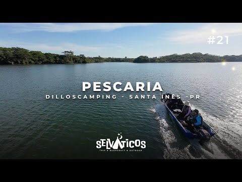 🎣 Pescaria e acampamento no Dilloscamping – Santa Inês/PR | Belezas do Paranapanema (#Selváticos)