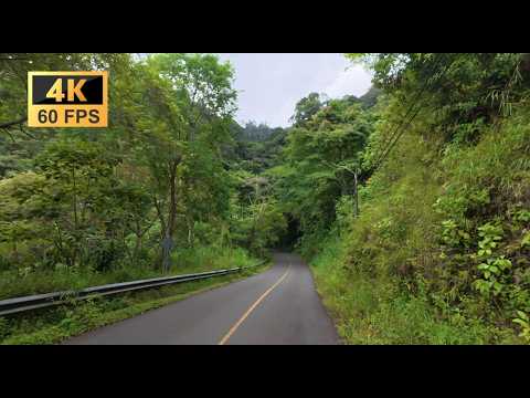 Relaxing Drive through Costa Rica: Route 209 & 239 (Tarbaca - Puriscal) 4K 60 FPS
