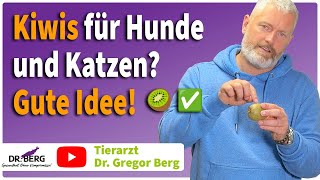🥝 Kiwis für Hunde und Katzen? Gute Idee! I Tierarzt Dr. Gregor Berg