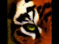 Survivor - Eye Of The Tiger 