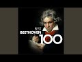 Violin Concerto in D Major, Op. 61: I. Allegro ma non troppo (Excerpt) (Cadenza by Kreisler)