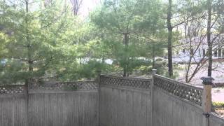 The noise is all day every day.  There is no end.