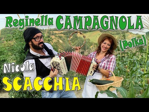 REGINELLA CAMPAGNOLA (polka) elaborazione di NICOLA SCACCHIA campione del mondo di organetto.