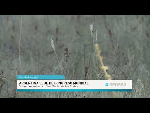 Congreso Internacional de Ortopteristas en Argentina