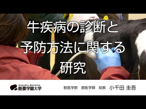 先端経営学科 獣医学類　小千田　圭吾　｜　酪農学園大学　研究室・ユニット紹介