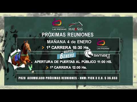 CARRERAS MARONAS 3/01/26 I EN VIVO I URUGUAY