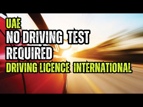 How to Obtain an International Driver's License (2024)✨