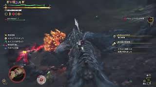 [モンハンワイルズ]色々なアルシュベルド！