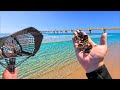 I Found More Rings Than I've Ever Found Before! DEFAULT Thumbnail