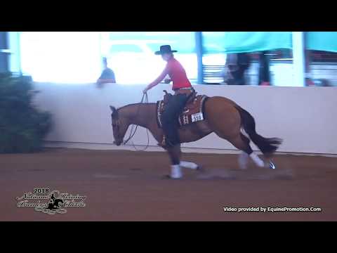 MJG Colonel Dry ridden by Janet Cowles  - 2018 NRBC (Rookie, Show 2)