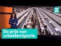 They took our jobs? Nee, we profiteren van arbeidsmigratie • Z zoekt uit