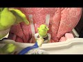 SML Movie: Baby Shrek [REUPLOADED]