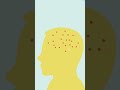 How To Increase Your IQ