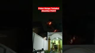 Download lagu Petir menyambar pohon kelapa sampai terbakar@Fafa Travel #petir #kotasemarang mp3
