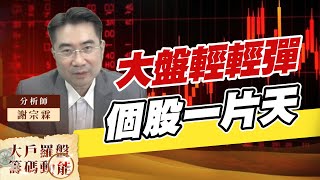 大盤輕輕彈 個股一片天 (圖)