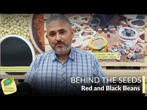 Behind the Seeds | Red and Black Beans with Omar Rodriguez (Honduras)