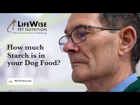 download lagu mp3 mp4 Starch In Dog Food, download lagu Starch In Dog Food gratis, unduh video klip Starch In Dog Food