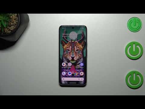 How to Add Photo to Contact in GOOGLE Pixel 8?