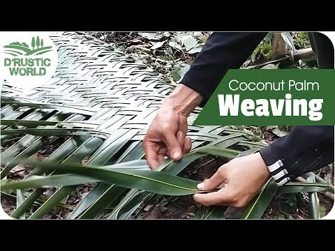How to Weave Coconut Palm for Hut Roofing