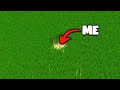 Can You Farm 1 000 000 Bamboo In 24 Hours