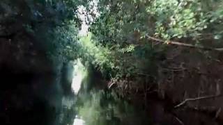 av: SE ME FUE LA MONTUNA pt2