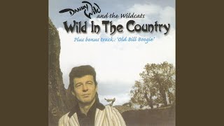 Ain't Never Gonna Love Again