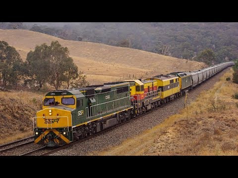 Australian Trains - SSR Grain on the Main South