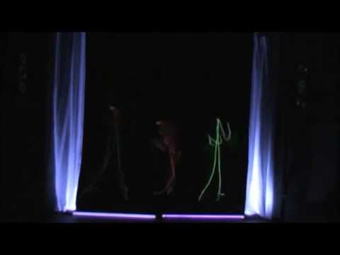 Robin Sukroso- Brazil/  privat Black Light Theather Show