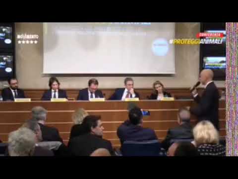 DDL PROTEGGI ANIMALI