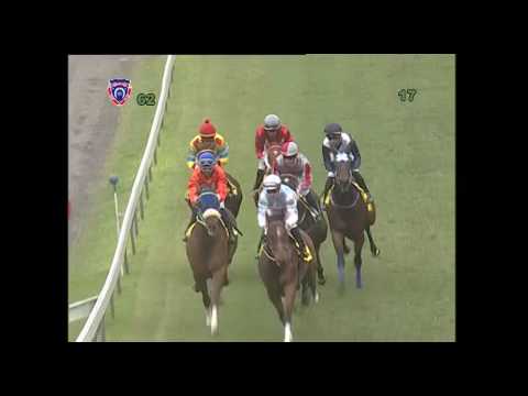 REPLAY 2017 RACE MEETING 06