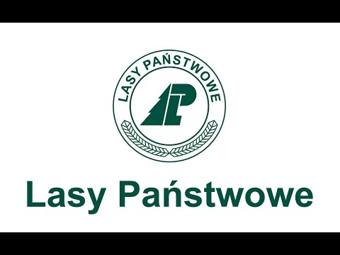 "Szachy w Leśnej Scenerii" z Lasami Państwowymi