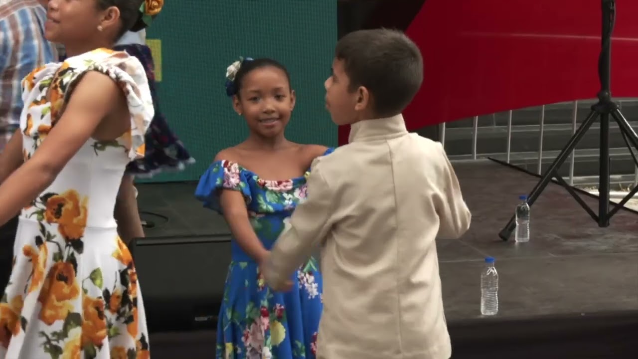 Ministro Villegas recibe de la Unesco el certificado del joropo como Patrimonio de la Humanidad