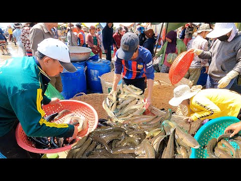Amazing Site Distributes River Fish  - Lively Fish, Fresh Fish & Dried Fish -Fish Market Scenes