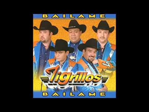 TIGRILLOS.-BAILAME HQ (Audio Mejorado)