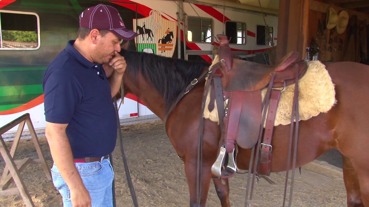 TV UC - Como selar corretamente