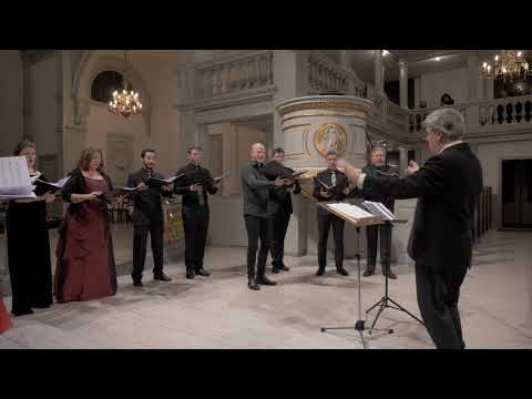 A Spotless Rose | Howells | Ars Nova Copenhagen